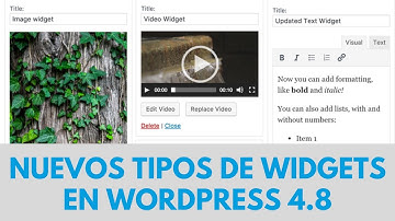 Nuevos Tipos de Widgets en WordPress 4 8