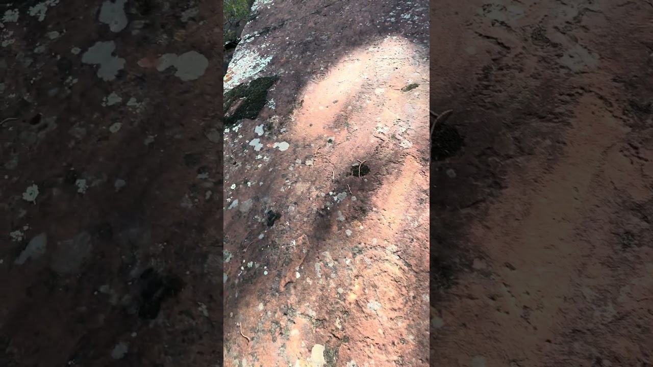 Amazing “Flat Rock” Petroglyphs-Old ruin site-near Sedona