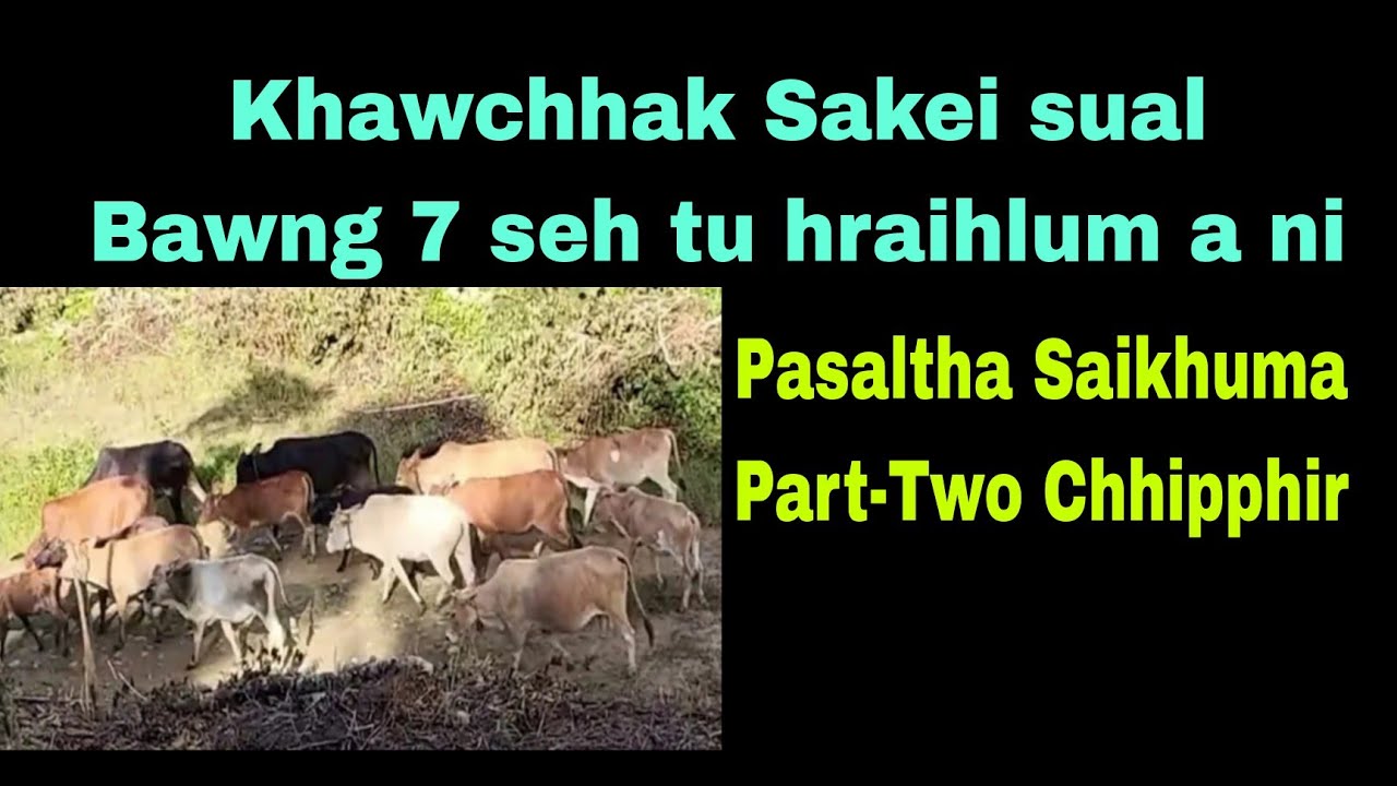 Khawchhak Sakei sual Bawng 7 sehtu hraihlum a ni:Pasaltha Saikhuma Part-2 Chhipphir.