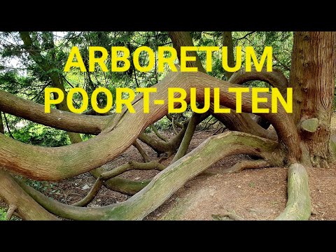 Video: Het die arboretum rolstoele?