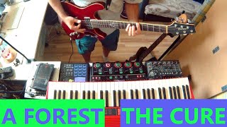 A Forest - The Cure (Live Looping Cover with a cat)