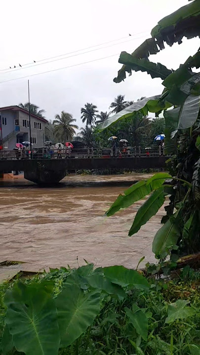 Flood in srilanka 🇱🇰  🙄 #nature #alanwalker #flood #Ditwah