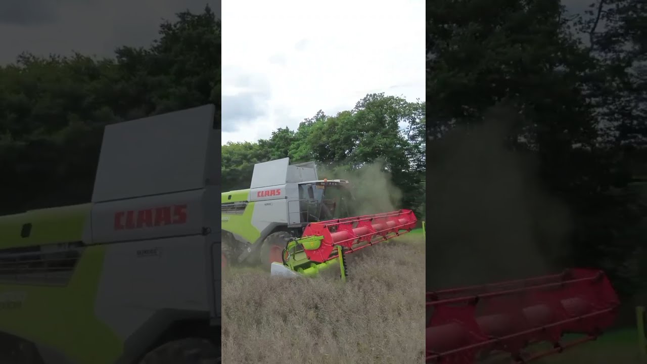 Moissons 2025 Raps Ernte