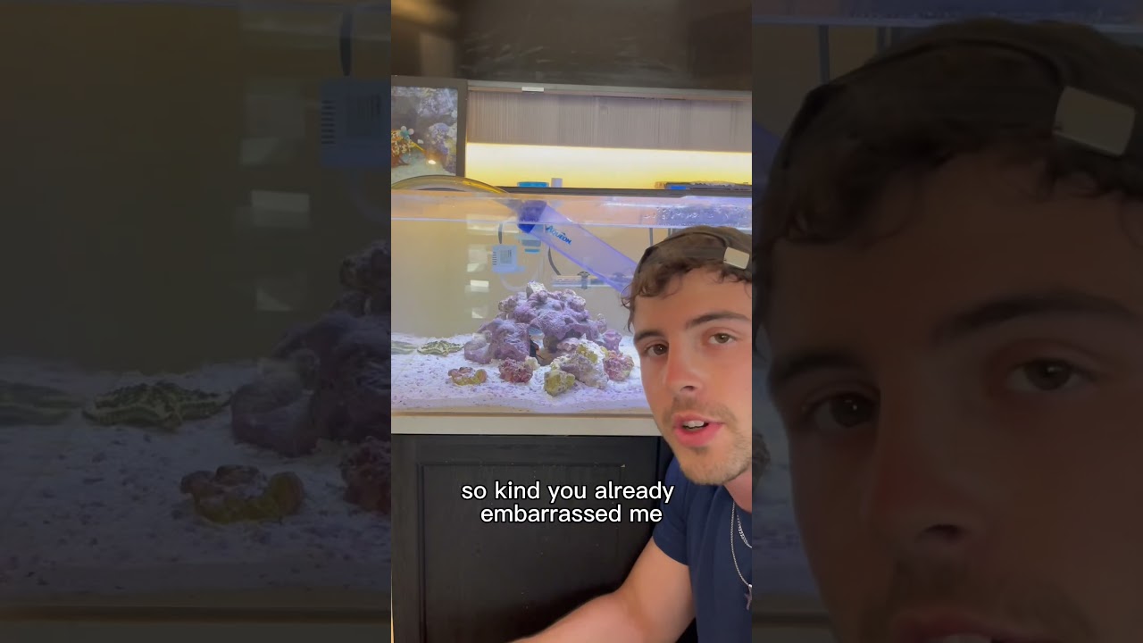 КРЕВЕТКИ-БОГОМОЛАТЫ НЕ ЛЮБЯТ ПОДМЕНЫ ВОДЫ