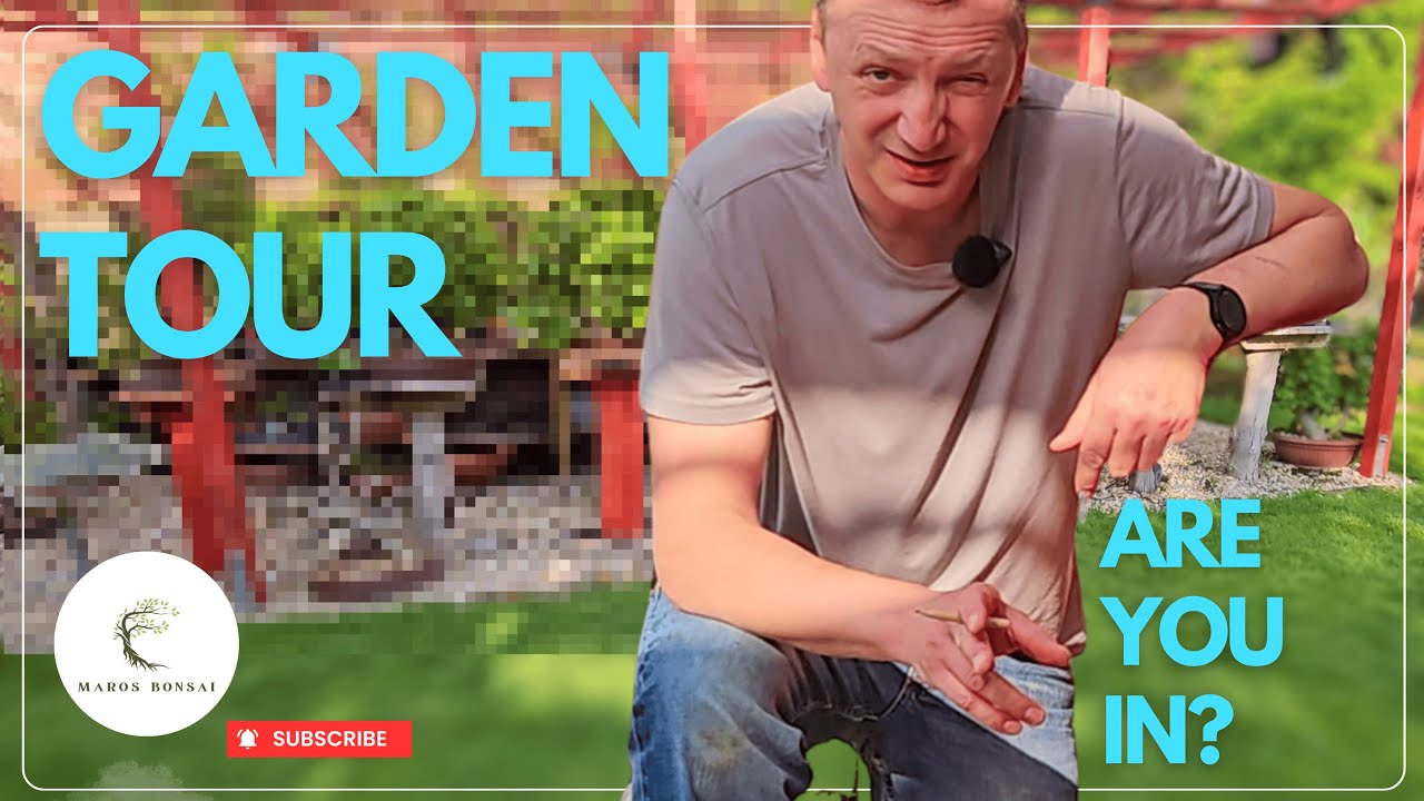 Join Me for a Garden Tour Featuring My Best Bonsai Trees!