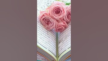 سوره الكافرون بصوت الشيخ فارس عباد