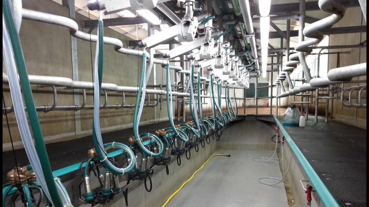 Van melkrobot naar 16x2 swingover