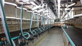 Download Lagu Van melkrobot naar 16x2 swingover MP3