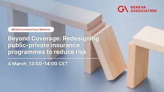 Beyond Coverage: Redesigning public-private insurance programmes to reduce risk | Webinar