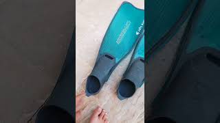 Best Fins Of Cressi For Swimming