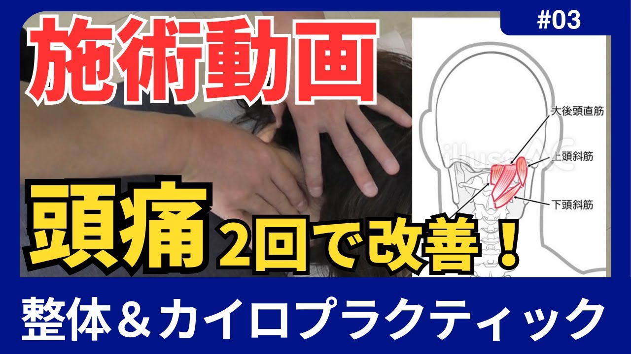 BIO-KINETICS セミナー資料日本語！カイロ神経学！レアテクニック！整体 BIO-KINETICS セミナー資料日本語！カイロ神経学！レア