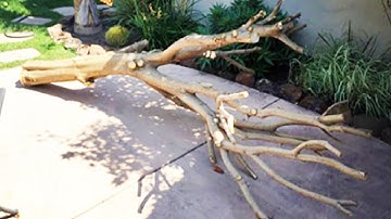 A woman builds the most amazing DIY cat tree for her kitties