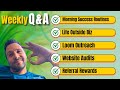 Weekly qa morning success routines life outside biz differentiate or die website audits