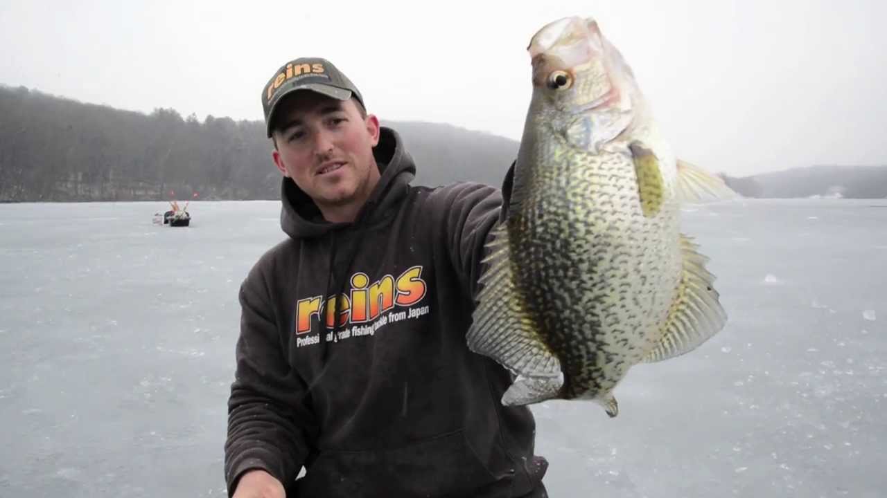 How to read a Flasher Fish Finder - Ice Fishing - Sonar- GetReeled 