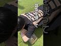 背中を使ってどの日焼け止めが本当に効果あるのか実験してみた。