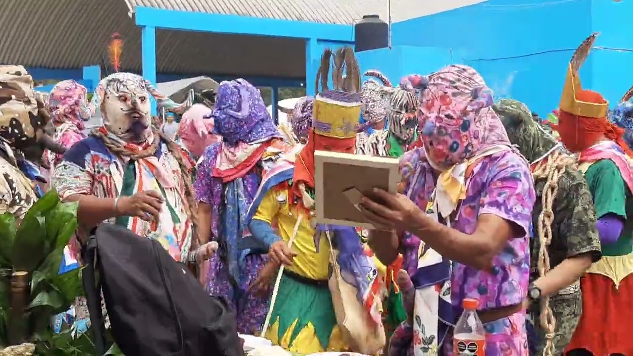 Carnaval Pisaflores Veracruz 2024