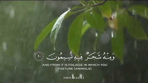 هو الذي أنزل من السماء ماء" لكم #ياسر_الدوسري #تلاوة_خاشعة #ارح_سمعك
