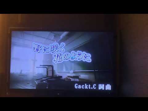 GACKT "野に咲く花のように"