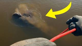 Boy Found A Rope In The Lake But When They Pulled It Man Shouted To Stop