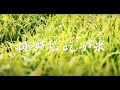 (產銷履歷)二林之光-CAS台南16號米(2kg/包) product youtube thumbnail