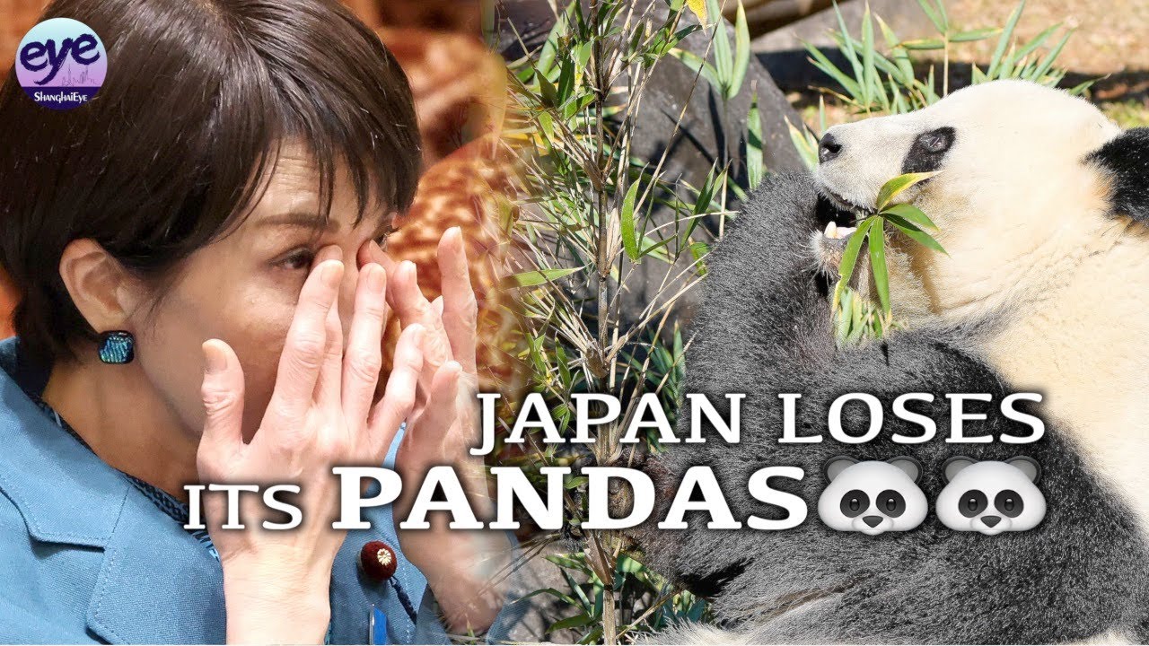 Panda fans flock to Tokyo zoo as Japan will be without a panda for