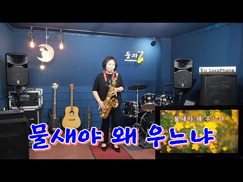 물새야 왜 우느냐(손인호) / 테너색소폰 / 강정순