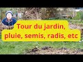 Pluie semis tour du jardin radis etc