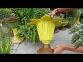 Cement Craft ideas for garden || Flower vase making at Home || Simple &amp; Easy DIY Flower Pot