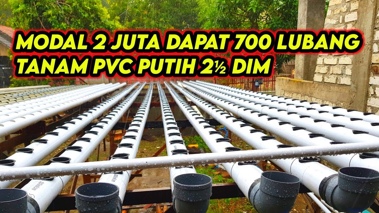 Review INSTALASI HIDROPONIK BARU. PIPA PVC 2½