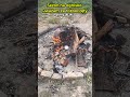 Znów płonie ognisko... #shorts #ognisko #fire #rap #lofi