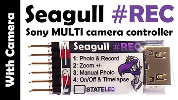 Seagull #REC - Sony MULTI Camera controller