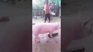 28 de julio de 2017
