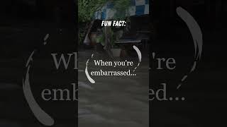 🤭 Fun Fact: The Science Behind Blushing and Sweating When You're Embarrassed!