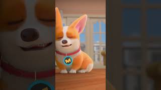 Flying Moco My Dogs Ear Cleaning 掏耳朵 Flying Moco Shorts 爆笑飛狗Moco 2023