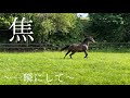 【新第5グループ誕生】　『私の息子はどこ〜〜〜⁉️⁉️』☘️☘️