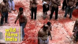 Self flagellation and bloodshed on Muharram in India