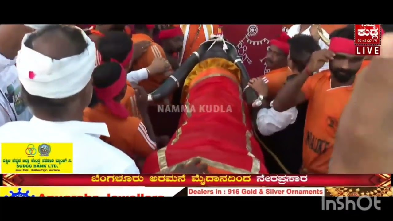 Nandalike Kambala team in Bangalore_Srikanth Batrena Ballda Malla Erlu