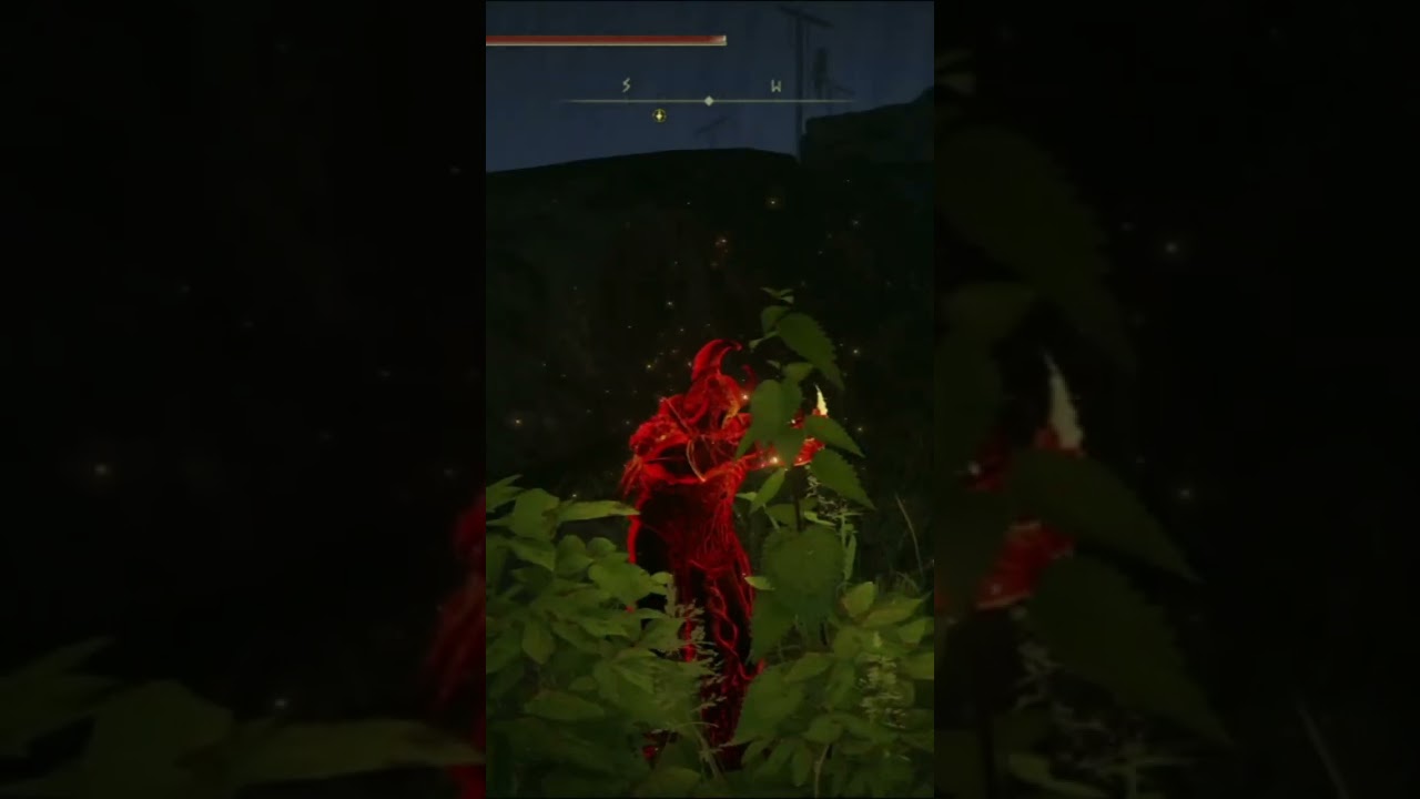 Fool The Humans - Elden Ring