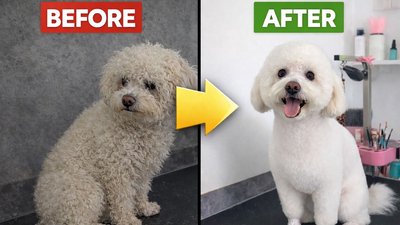 I didn't expect to find THIS under all that wool... 😱 Poodle Transformation