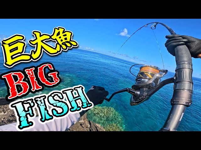 ENG】This Hidden Paradise Is Packed With Giants. SHIMANO