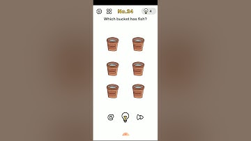 I failed in BRAIN OuT level 24