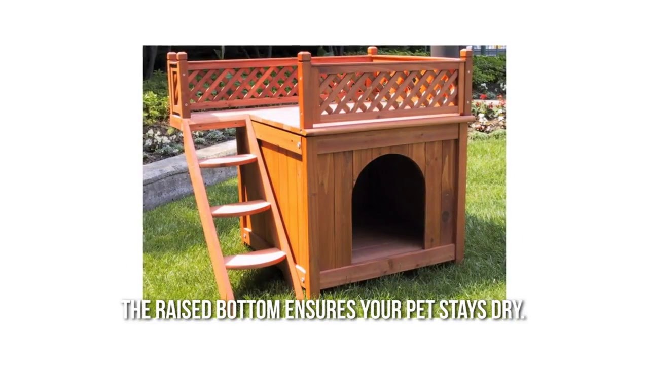 Merry Products Wood Pet Home Review!