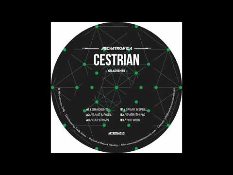 Cestrian — Cestrian - The Weir [MTRON010]