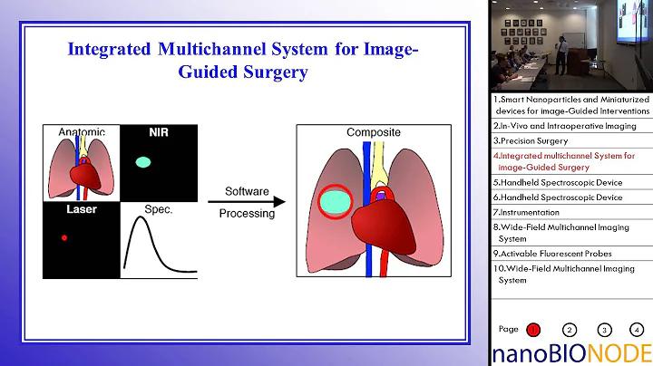 Nanotechnology and Spectroscopic Instrumentation for Image-Guided Precision Medicine (Shuming Nie)