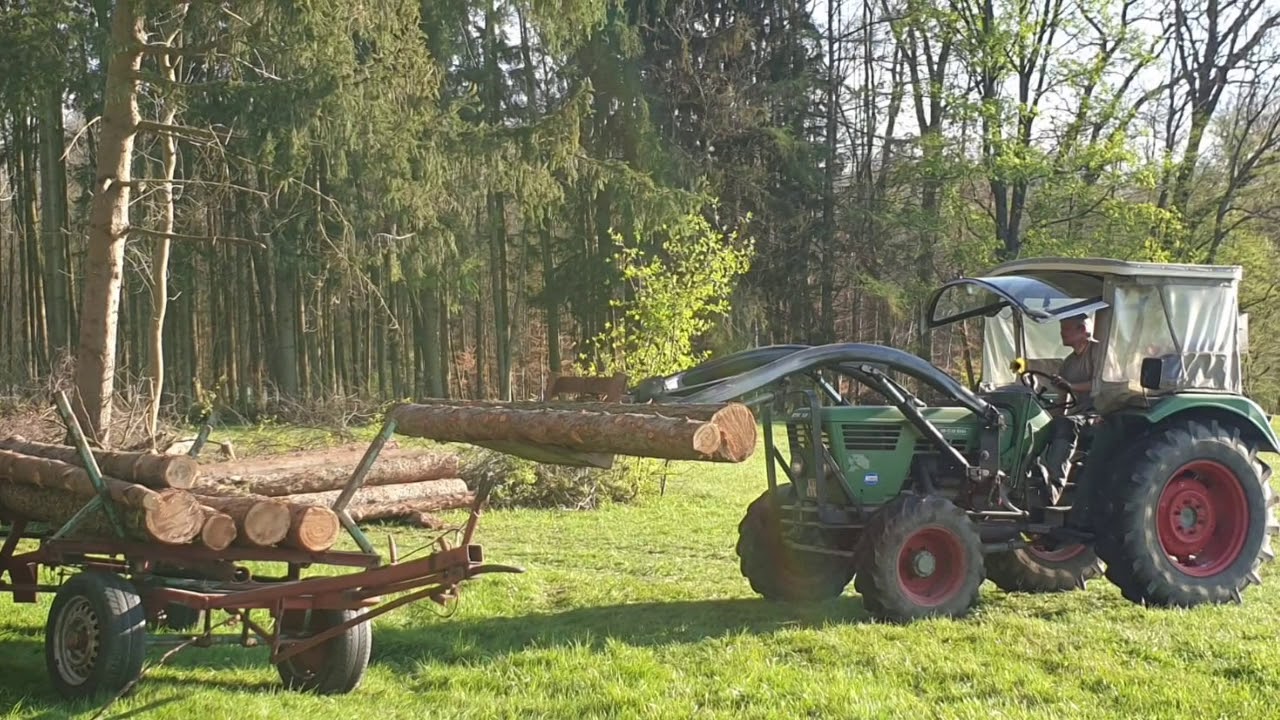 Lärchenholz aufarbeiten & Abtransportieren