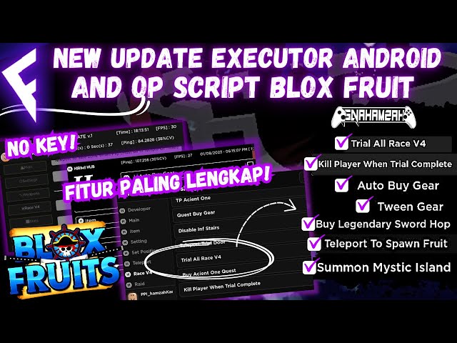 UPDATE ] SCRIPT BLOX FRUIT & EXECUTOR ANDROID, AUTO QUEST RACE V4, TP TO  GEAR