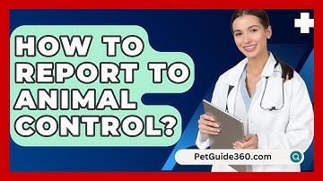 How To Report To Animal Control? - PetGuide360.com