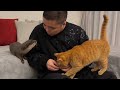 カワウソさくら 水溜りボンドのトミーさんが遊びに来たらやばすぎた！ Otter and cat playing with Japan's popular YouTuber