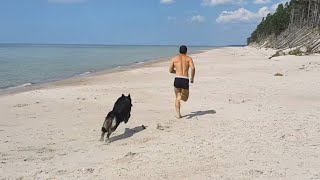 What running with a Wolf REALLY looks like by Buddy & Friends 604,380 views 3 years ago 4 minutes