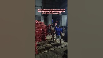 anh em em cần bốc xếp 24/24 anh em đội Hoài hộ chợ bốc hàng nhé